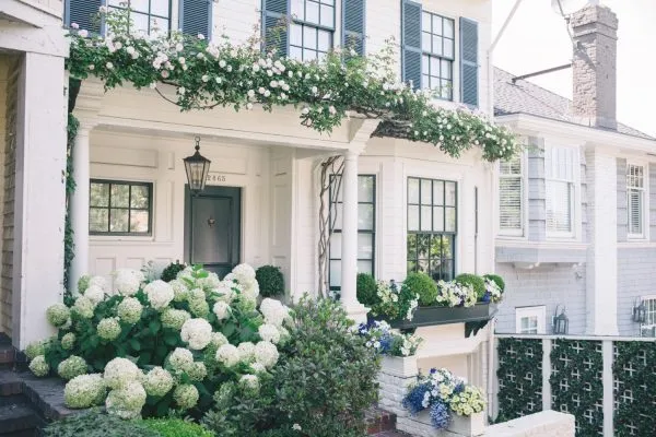 The Best Eau de Nil Paint Colours for an Elegant Interior - Emily May ...