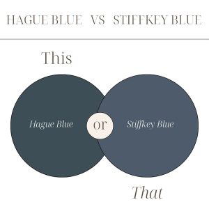 an image showing samples of hague blue and stiffkey blue side-by-side