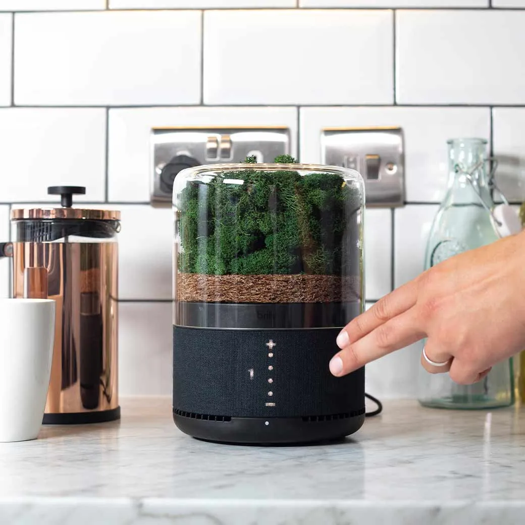 Best Air purifier for mold