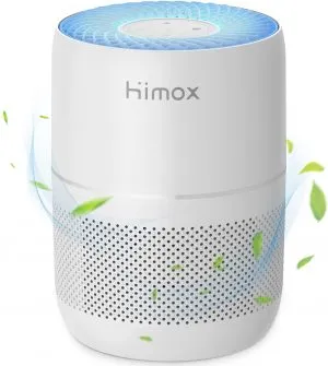 Himox air purifier for mold