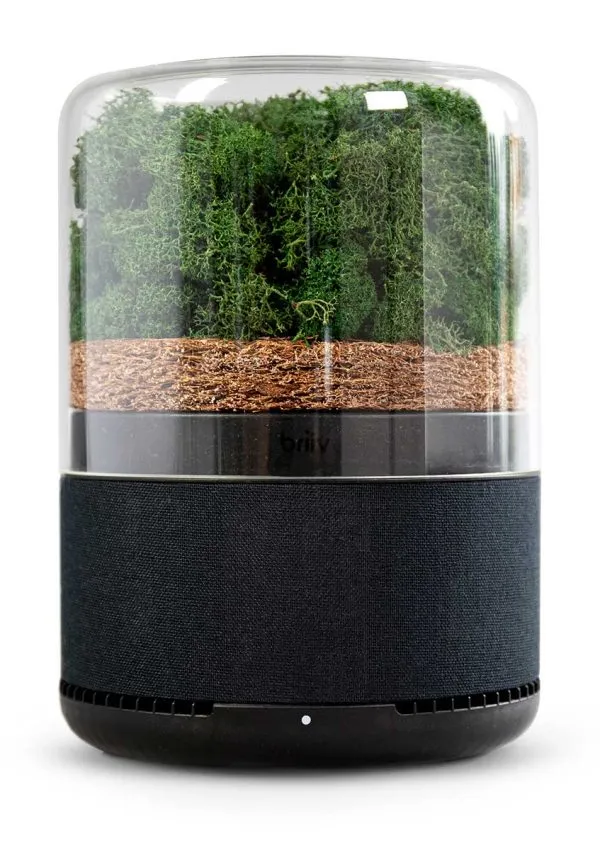 Best Air Purifiers for Mold, VOCs, Bacteria, Allergens, and more!