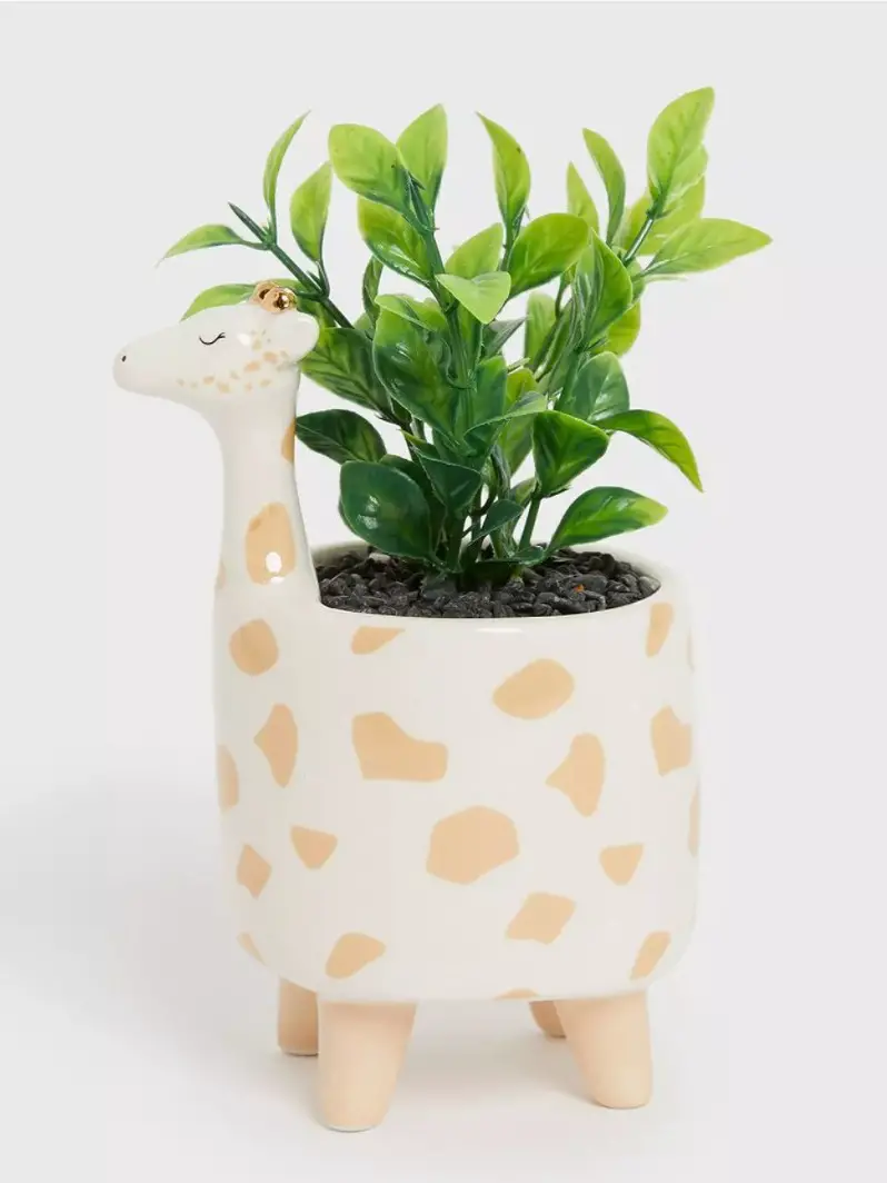 Quirky homeware giraffe planter