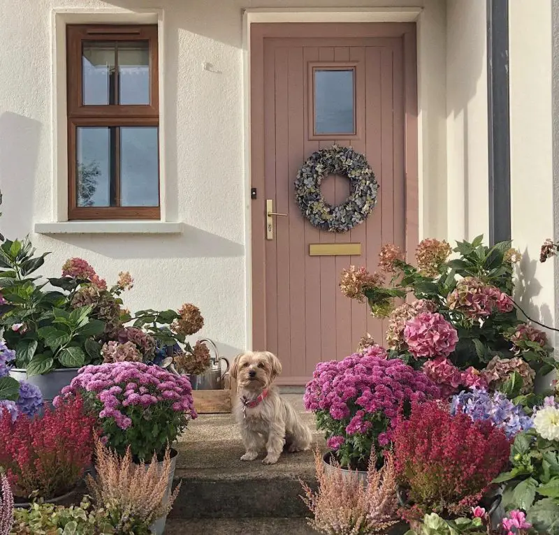 Sulking Room Pink How to Use This Versatile Colour in Your Home
