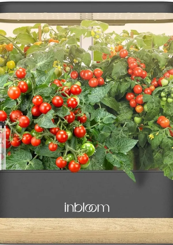 Indoor Gardening with Grow Lights: What You Need to Know
