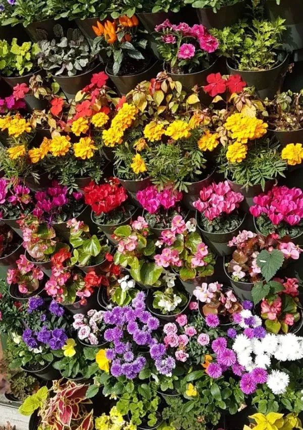 6 Ways to Hide Your Heat Pump with Clever Garden Design